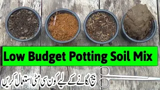 Expensive vs Cheap Seed Starting Mix | Low Budget Potting Soil Mix | How To Make at Home