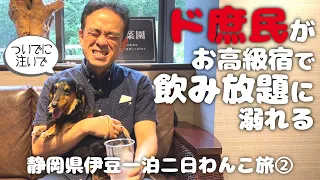 【犬連れ静岡伊豆旅行】犬と泊まれる宿「ウブドの森」さんで愛犬より楽しんでしまうド庶民のおじさん 静岡県伊豆一泊二日わんこ旅2/3 旅するペットショップの売れ残りと元保護犬