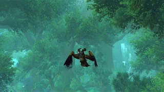 WoW - Druid Class Mount