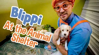 Caring After Pets with Blippi | Explore with BLIPPI!!! | Educational Videos for Toddlers