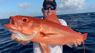 Deep Sea Fishing, Florida to the Bahamas {Catch Clean Cook} WHOLE Queen Snapper Grilled!