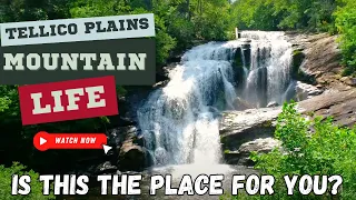 Moving To The Mountain's Of East Tennessee | Tellico Plains | Mountain Life In East TN