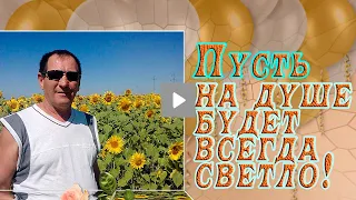 Частушки в честь именинника