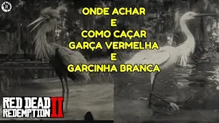 RED DEAD REDEMPTION 2 - COMO CAÇAR GARÇA VERMELHA E GARCINHA BRANCA ( Dicas )