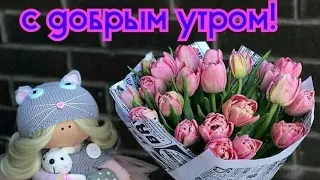 Доброе утро🌝 Хорошего дня💖 Отличного настроения 💛