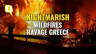 'Nightmarish Summer', Says Greece PM, as Wildfires Ravage Houses, Businesses & Forests  | The Quint