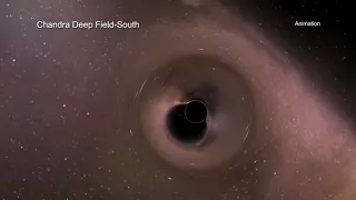 Chandra X-ray Observatory: A Tour of Black Hole Growth in Chandra Deep Field South