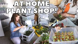 WEEKLY PLANT SHOP ROUTINE! | Running an Online Houseplant Shop from Home!