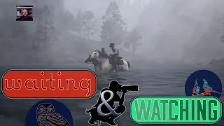 Waiting & Watching 05/18/24 (Wildlife Photography in Red Dead II)