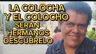 LA COLOCHA y EL COLOCHO SERAN HERMANOS,DESCUBRELO