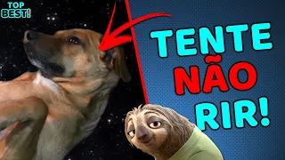 TENTE NÃO RIR #48 - Vídeos ENGRAÇADOS do WhatsApp - Melhores Memes - Comédia