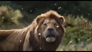 Can You Feel the Love Tonight (From "The Lion King" / Lví král 2019) - Czech / CZ