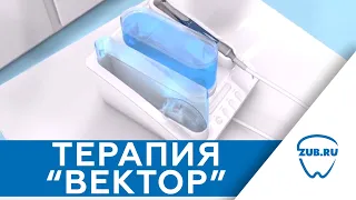 Терапия вектор