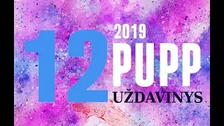 12 uždavinys | PUPP 2019