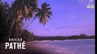 Tropical Island (1965)