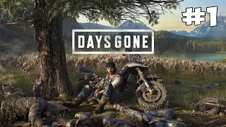 НАЧАЛО ИСТОРИИ // Days Gone #1