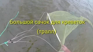 Ловля креветок большим сачком / Catching shrimp with a large net