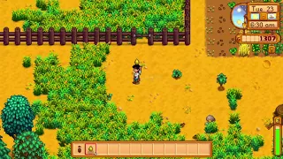 The Stardew Valley Glitch on the Nintendo Switch