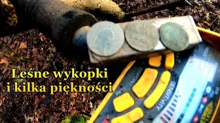 Księstwo Warszawskie leśne wykopki 2021 tuż przed śniegiem  błysnął złoty kolor metal detector