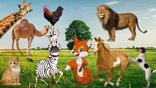 Best Animal Sound!Wild Animal Sounds:Squirrel Bear Camel Horse Cat Goat Mouse Sheep Deer Rooster