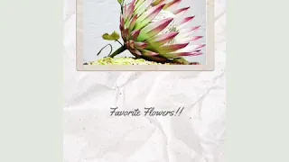 Gumpaste Protea Sugar Flower