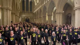 Shine by Rock Choir Wiltshire & Somerset