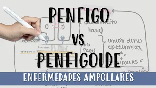 #EnfermedadesAmpollares #AMPOLLAS #Bulas #UnionDermoEpidermica #PENFIGO O #PENFIGOIDE?