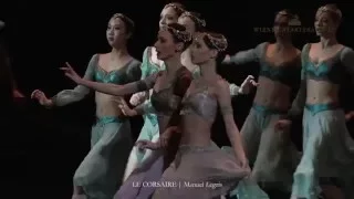 Manuel Legris: LE CORSAIRE | Wiener Staatsballett