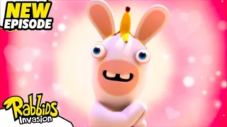 Teddy-Rabbid (S04E26) | RABBIDS INVASION | New episodes | Cartoon for Kids