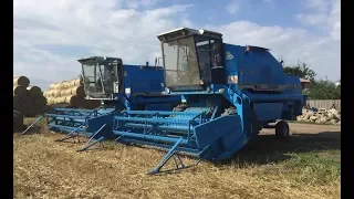 ☆Niebieskie Żniwa 2017 u Agro Kuzynów☆2x Bizon Rekord z058㋡