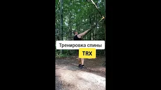 Петли TRX. Широчайшие мышцы спины 🟨