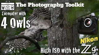 Owl Encounter: High ISO with the Nikon Z9