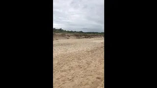 36cc Roven on the sand
