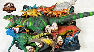 Colossal Box of 130 Dinosaurs from Jurassic World Camp Cretaceous!