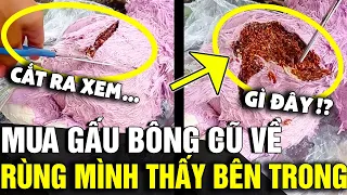 Mua 'THÚ BÔNG CŨ' về dùng, cô gái rùng mình khi tưởng 'TRỨNG GẤU BÔNG' bên trong | Tin Nhanh 3 Phút