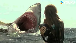 Diving beauty attracts huge shark, fights back to survive | Huge Shark | YOUKU MONSTER MOVIE