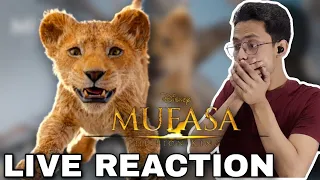 Mufasa: The Lion King | Teaser Trailer Reaction | Holly Verse