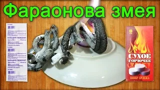 Фараонова змея - Разложение глюконата кальция / Pharaoh snake