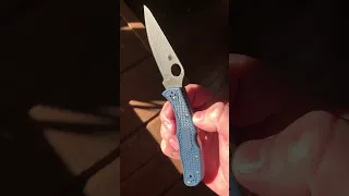 KnifeJoy Exclusive Spyderco Endela