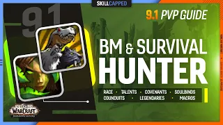 BM & SURVIVAL HUNTER 9.1 PvP Guide | Best Race, Talents, Covenant, Soulbind, Conduits, Gear & Macros