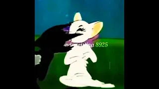 edit Tom and Jerry versão anime