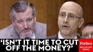 Ted Cruz Viciously Attacks Top Pentagon Official Over Biden Administration's 'Appeasement' Of Iran