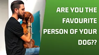 Are You The Favorite Person Of Your Dog??
