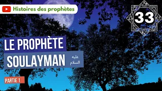 33/ Soulayman et la reine des fourmis - sourate An-naml - Partie 2