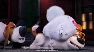 The Secret Life of Pets (9/9) | Everyone goes home, finally! | Cartoon for kids