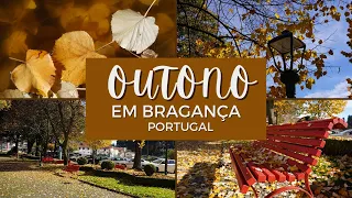 VLOG de Outono em Bragança PORTUGAL - Uma Experiência Inesquecível!