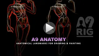 A9RIG - Anatomical Landmarks