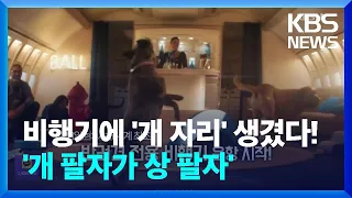 개도 비행기에 탑승한다고? 세계 최초 반려견 전용 비행기 운항 개시 [오늘의 영상] / KBS  2024.05.22.