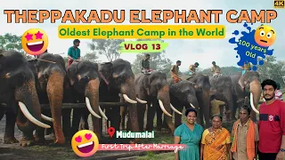 😱எவ்ளோ யானையா?😳💥Oldest Elephant camp in Asia🐘| EP: 04 | Being Bachu | #elephant #trending #tamil