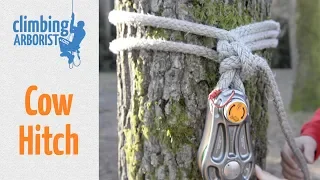 How to tie a Cow hitch | Arborist knot tying for rigging